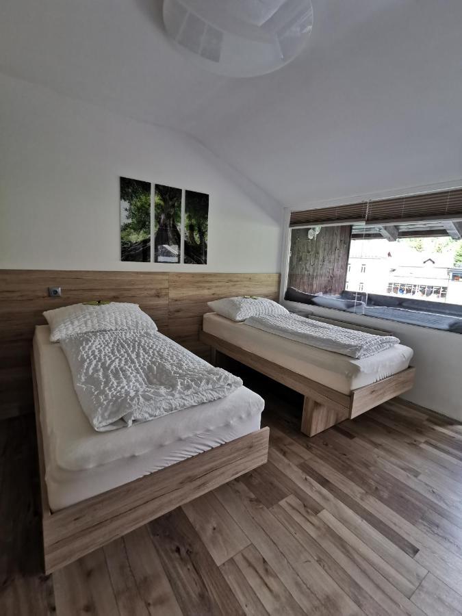 Appartement Mit Doppelbett Oder 2 Einzelbetten Bad Aussee Exteriér fotografie