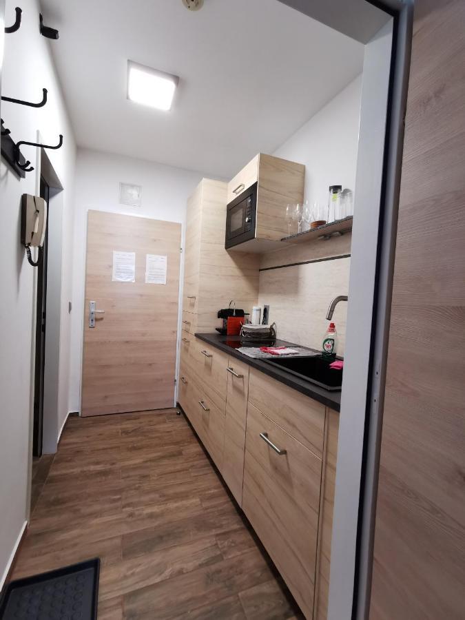 Appartement Mit Doppelbett Oder 2 Einzelbetten Bad Aussee Exteriér fotografie