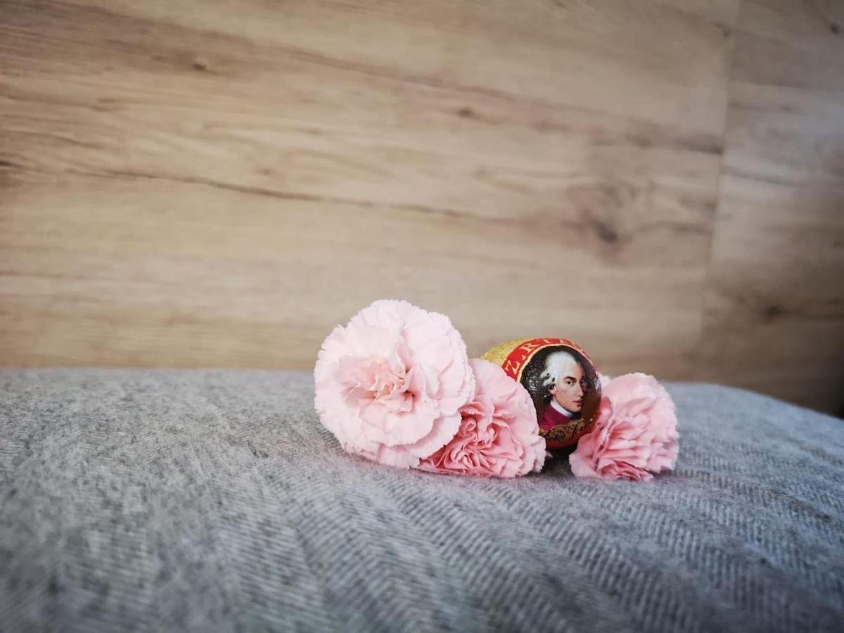 Appartement Mit Doppelbett Oder 2 Einzelbetten Bad Aussee Exteriér fotografie