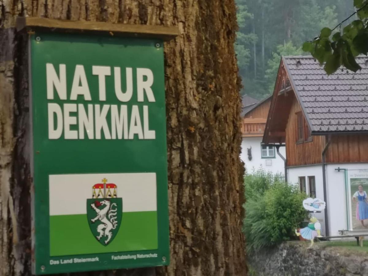 Appartement Mit Doppelbett Oder 2 Einzelbetten Bad Aussee Exteriér fotografie